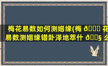 梅花易数如何测姻缘(梅 🐎 花易数测姻缘错卦泽地萃什 🐧 么意思)
